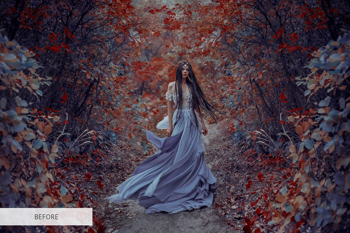 Bird Overlays Photoshop, a Plug-in Add-On by FixThePhoto (Photo 32 of 32)