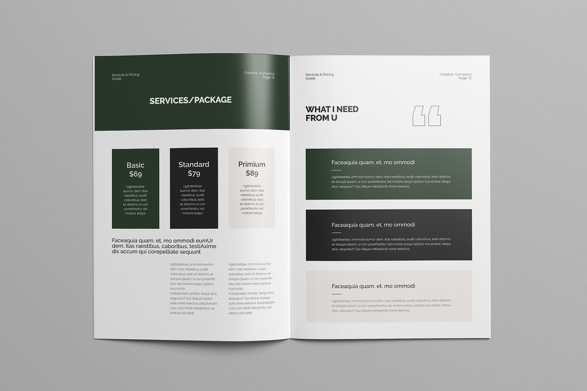 Services & Pricing Guide Canva, a Brochure Template by Pixelpick (Photo 4 of 9)