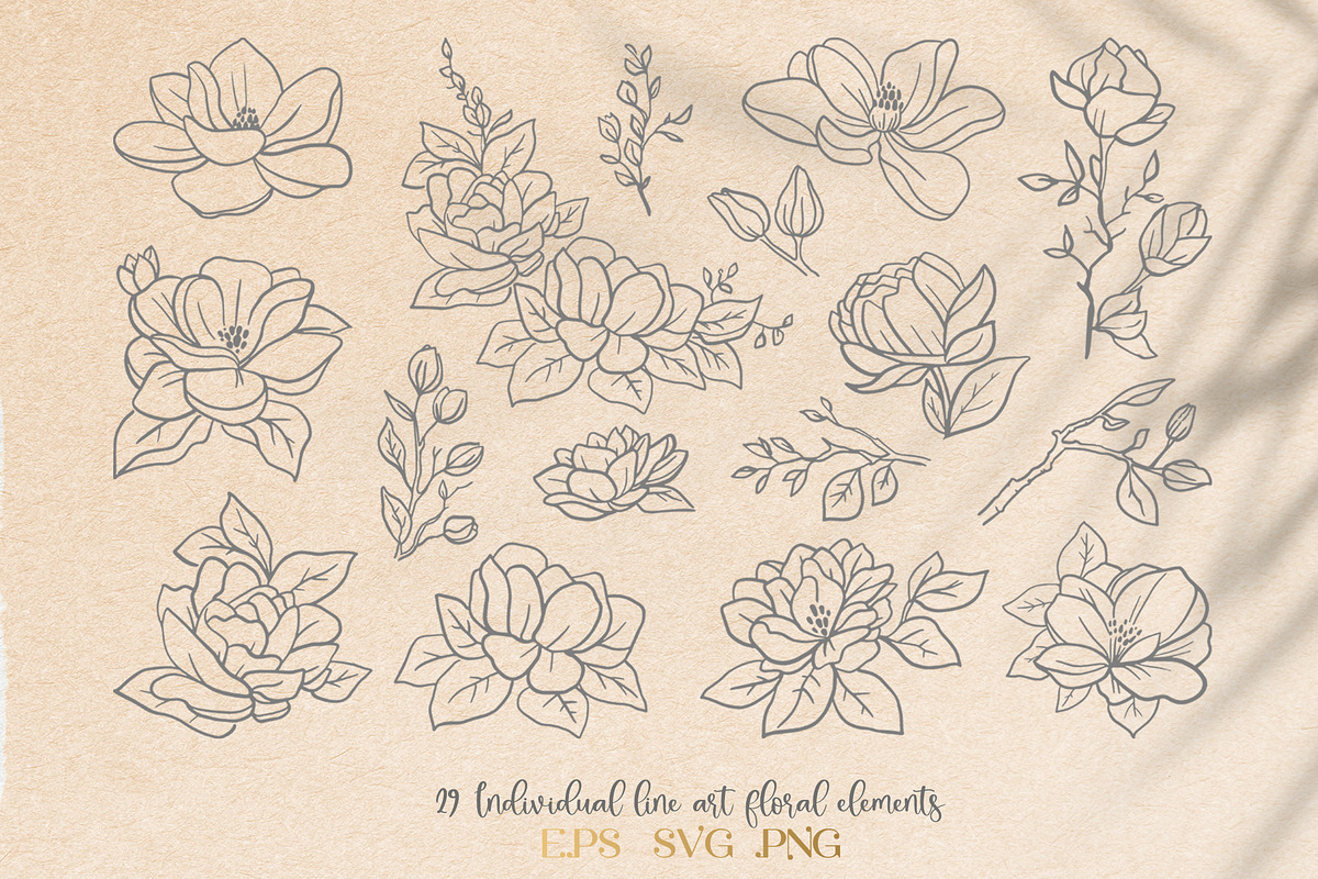 Мagnolia garden. Floral Line Art, a Decorative Illustration by KlavaProDesign (Photo 3 of 7)