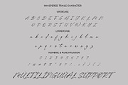 Whispered Trails – Signature Font, a Script Font by Salamahtype (Thumbnail 8 of 8)