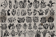 Old style flower stamps Procreate, a Brush Add-On by TheWhiteCatLab (Thumbnail 2 of 5)