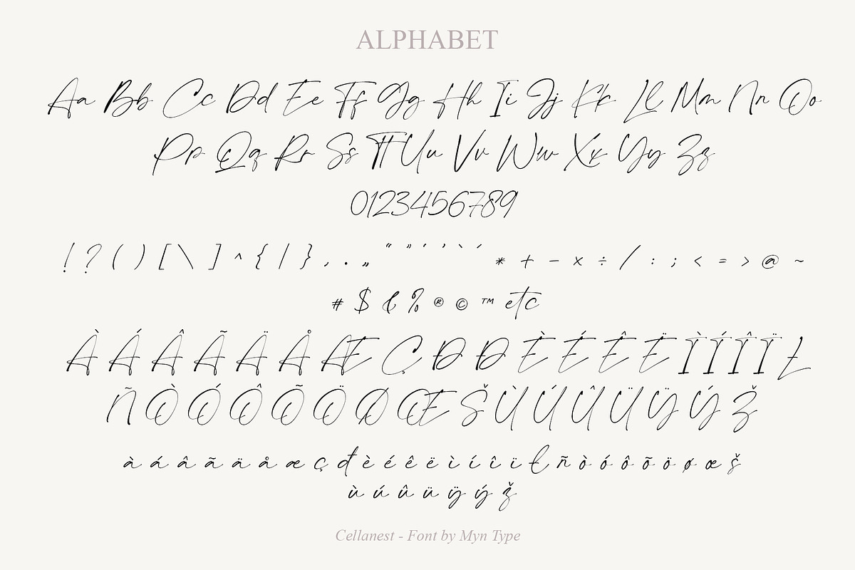 Cellanest - Modern Handwritten Font, a Handwritten Font by Myn Type (Photo 12 of 13)
