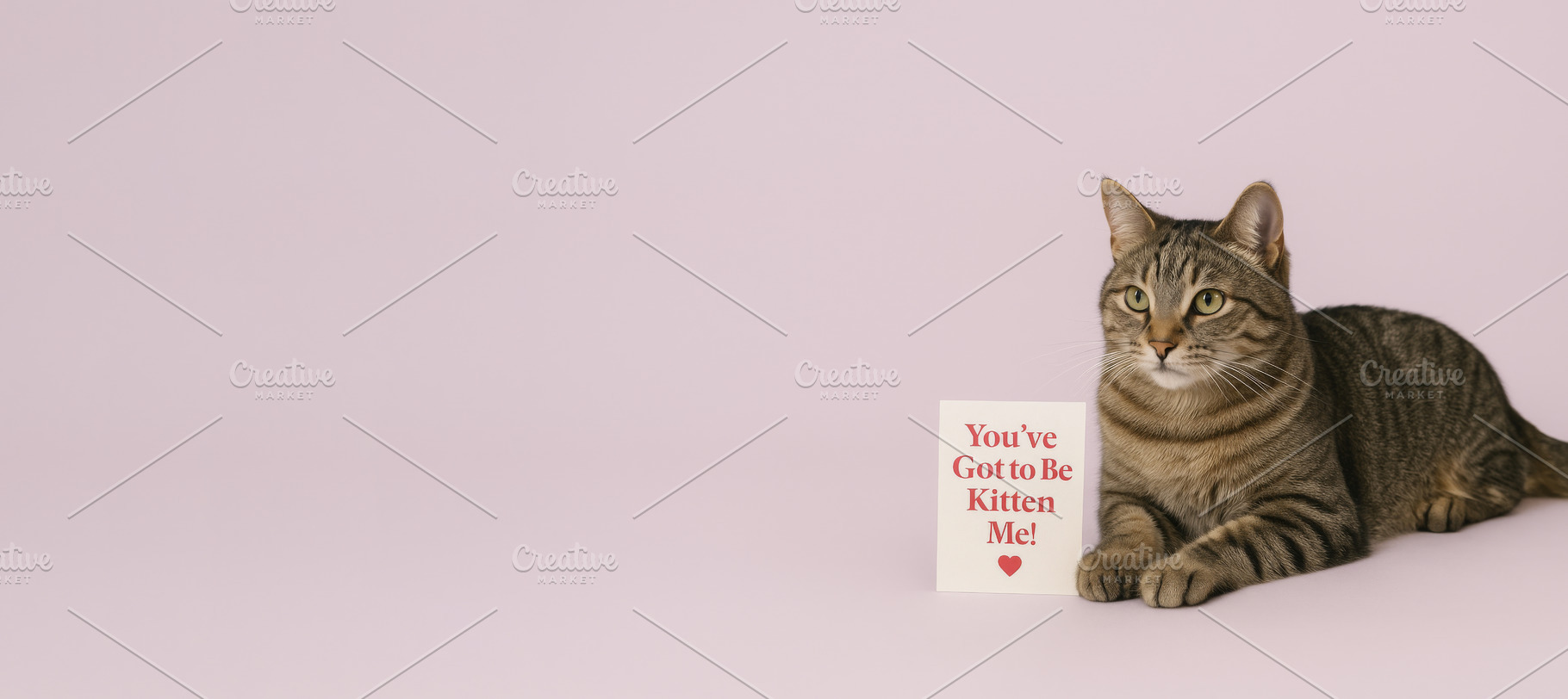 Cat holding Valentine card on Pawlen, a Photo by Dvoevnore photos