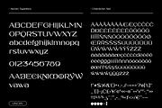 Aerion - Display Serif, a Serif Font by Uncarving (Thumbnail 4 of 20)