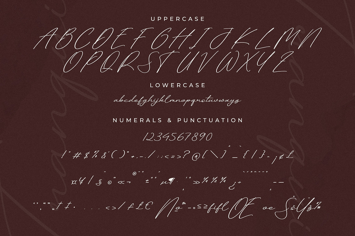 Tranquil Euphoric A Modern Font Duo, a Serif Font by Storytype Studio (Photo 13 of 15)