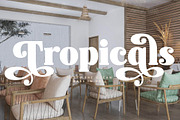 Magicals Royale Modern Vintage Font, a Serif Font by timelesstype.co (Thumbnail 10 of 20)