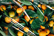 Plastic Wrap Texture #02, a Texture Graphic by alexandeerco (Thumbnail 19 of 23)