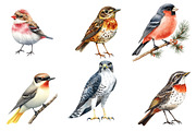 Scandinavian Birds Clipart, an Illustration by Watercolor design (Thumbnail 4 of 5)