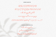 Old Bridges - Vintage Signature Font, a Script Font by Vultype Co. (Thumbnail 12 of 13)