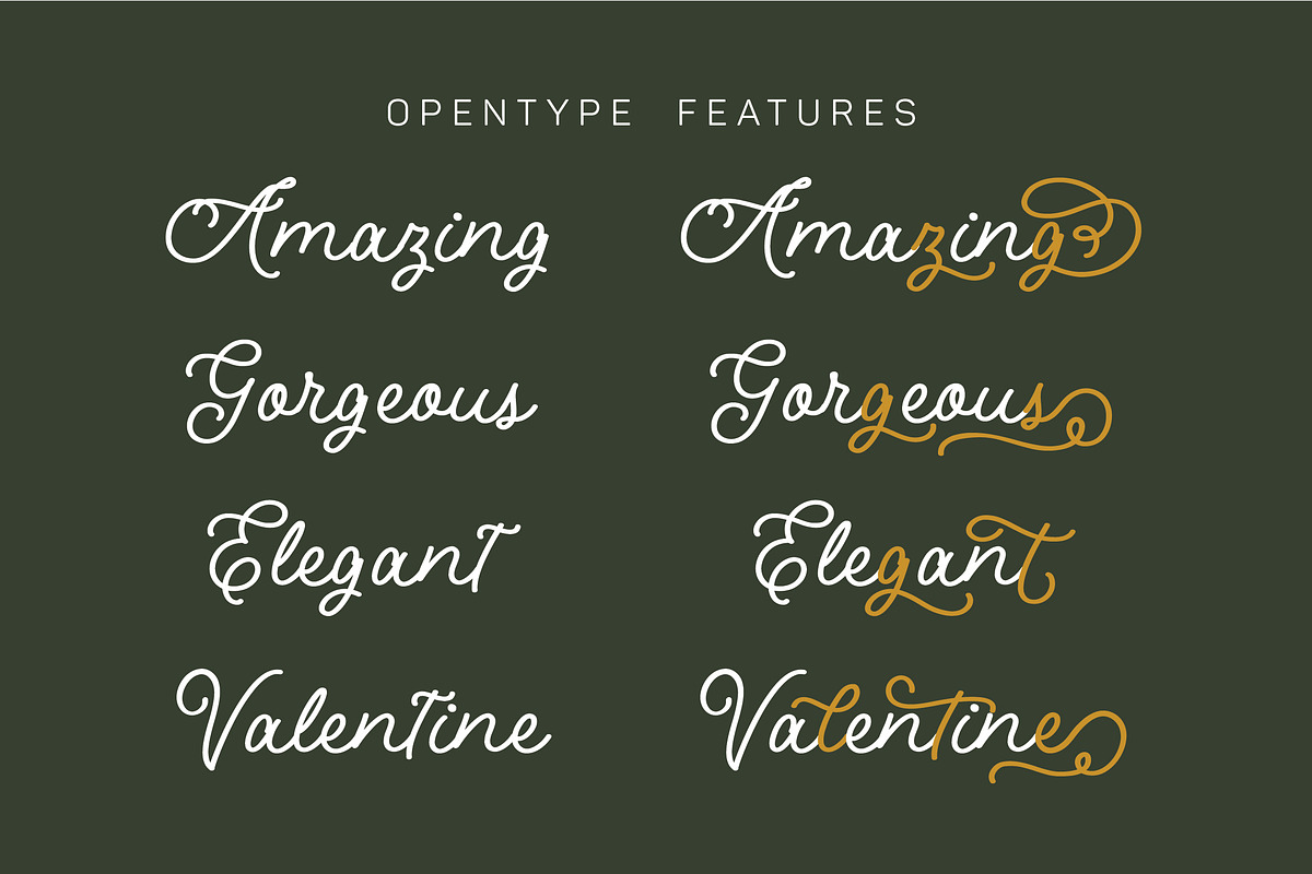 The Oldie Monoline Script, a Script Font by etigletters (Photo 7 of 9)