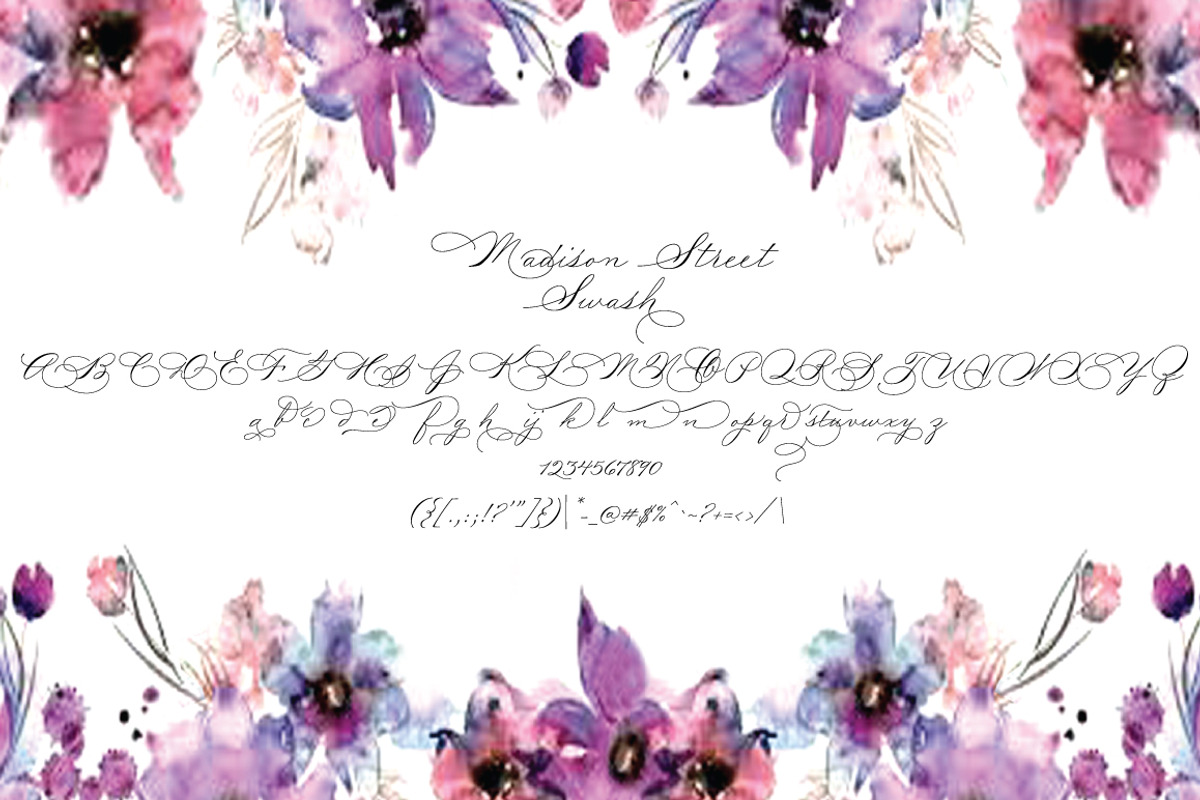 Madison Street Stylistic & Swash preview 3