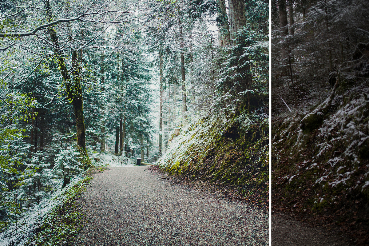 MILLION OF GREEN-Set of 20presets Lr, an Action Add-On by Graphics, Presets, Photos (Photo 6 of 21)