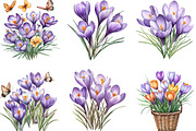 Watercolor Crocus Flowers Clipart, an Illustration by Designking (Thumbnail 4 of 5)