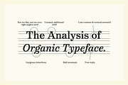 Victorian Orchid, a Serif Font by Dharma Type (Thumbnail 9 of 12)