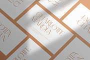 Carlly | Modern Elegant, a Serif Font by Pentagonistudio (Thumbnail 8 of 10)