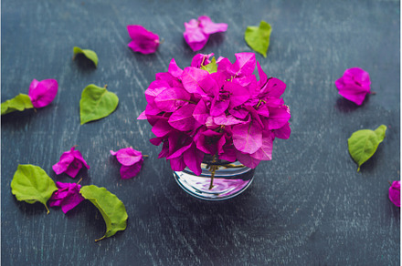 Spring purple flowers and spring, a Food & Drink Photo by Elizaveta Galitskaya