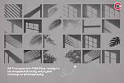Minimal Window and Botanical Shadow, a Background Graphic by C-Kav (Thumbnail 8 of 8)