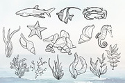 Sea Life. Line art and color, an Animal Illustration by DamriNa art (Thumbnail 3 of 10)