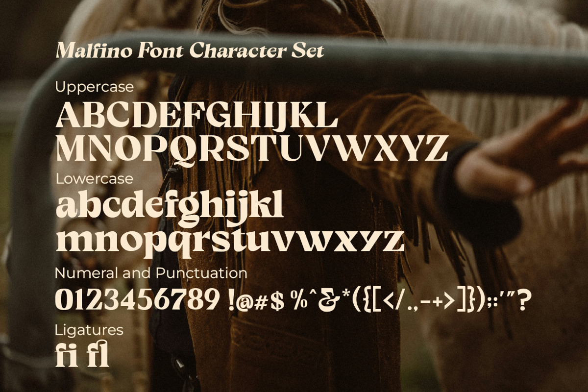 Malfino Olstd - Serif, a Serif Font by Olexstudio (Photo 8 of 8)