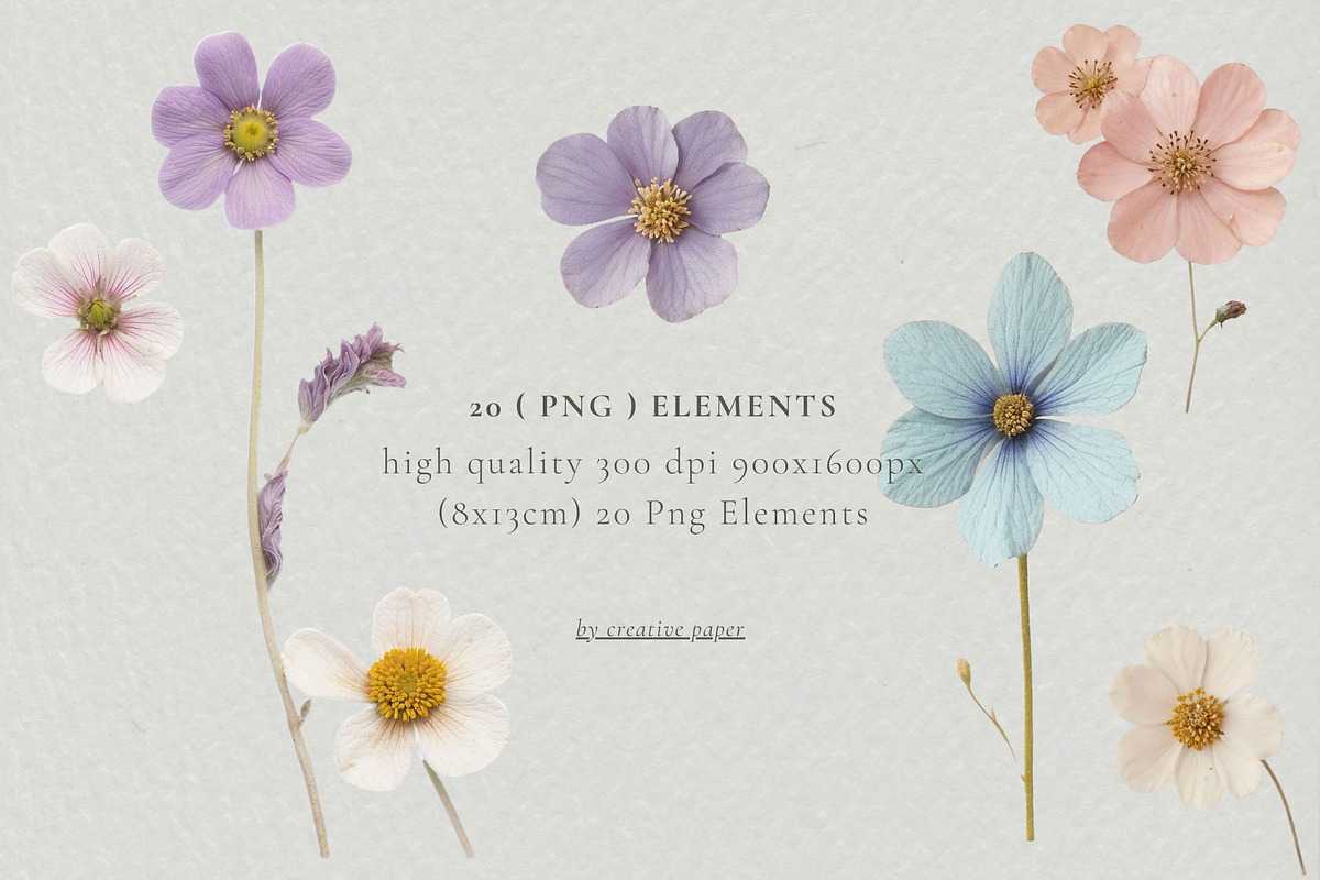 Pressed Flowers (Png) HELLO SPRING, a Background Graphic by by creative paper (Photo 4 of 13)