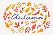 Autumn leaves and plants flat set, an Object Graphic by Vector_Art (Thumbnail 1 of 7)