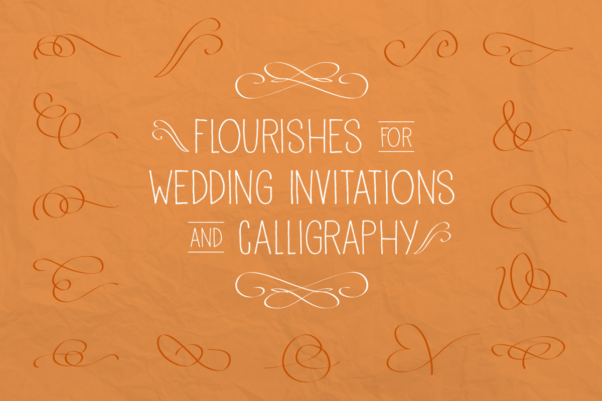 Vector Flourishes, a Decorative Illustration by Little Pixel Shop (Photo 1 of 5)