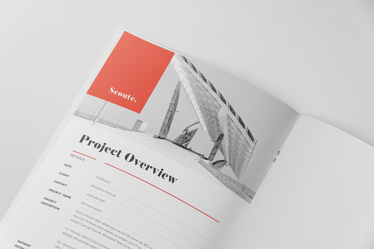 Pitch Deck Proposal Template, a Brochure Template by Andre28 (Photo 5 of 12)