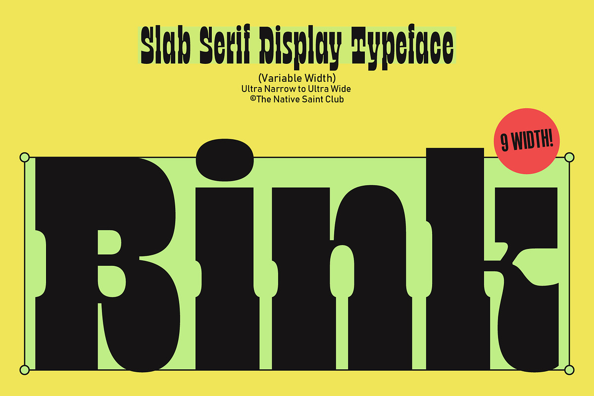 TNSC Bink - Slab Serif Display, a Slab Serif Font by The Native Saint Club (Photo 1 of 16)