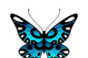 Butterfly. Colorful Stylized Summer