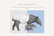 Mother & Baby Tapir Illustration, an Animal Illustration by LaurenFittonIllustration (Thumbnail 2 of 6)
