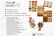 Thanksgiving junk journal Kit, an Object Graphic by ThatsDesignArt (Thumbnail 2 of 21)