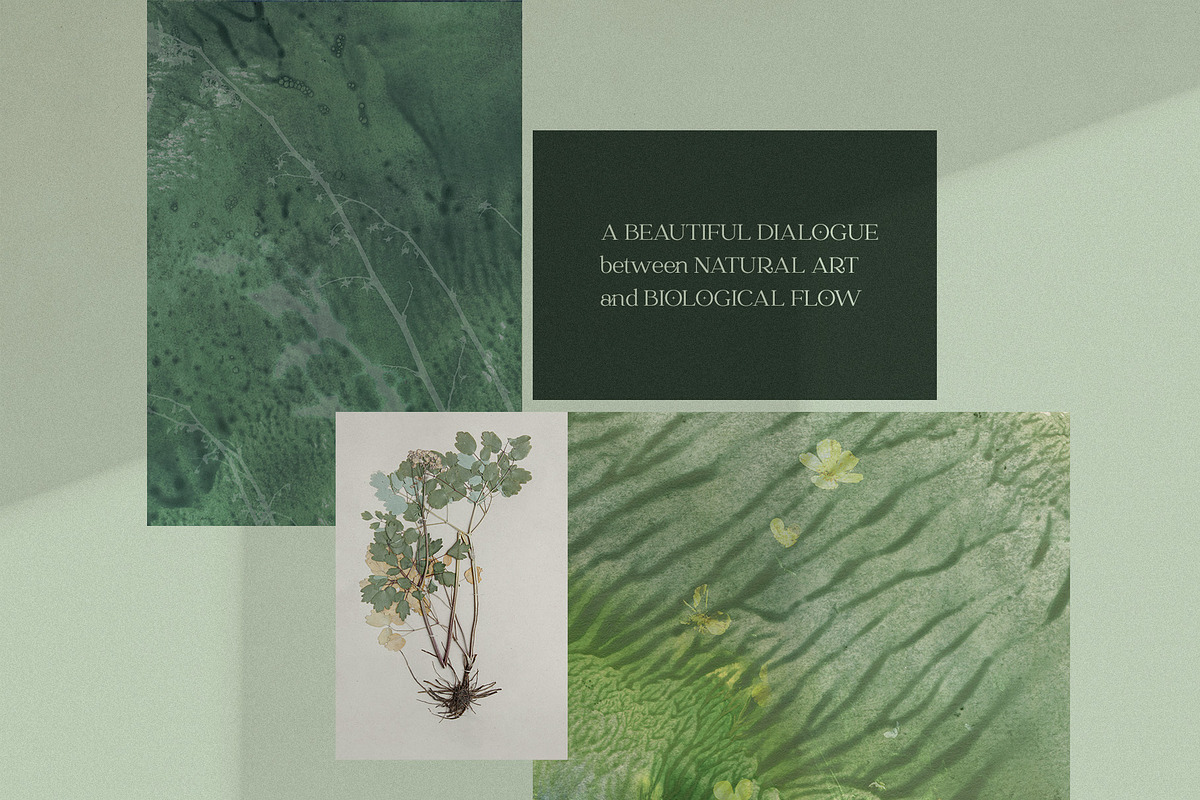 Organic Macro Botanical Textures, a Texture Graphic by Elena Pimonova (Photo 13 of 13)