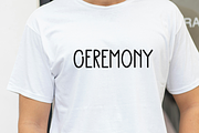 Christmas Holiday, a Sans Serif Font by FreshTypeINK (Thumbnail 5 of 8)