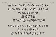 SALVAREON - Handwritten Marker Font, a Handwritten Font by Indotype Foundry (Thumbnail 3 of 10)