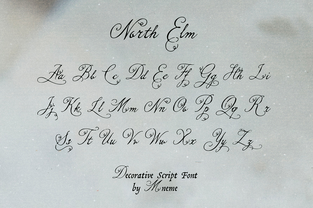 North Elm - Decorative Script Font, a Script Font by Mneme (Photo 4 of 8)