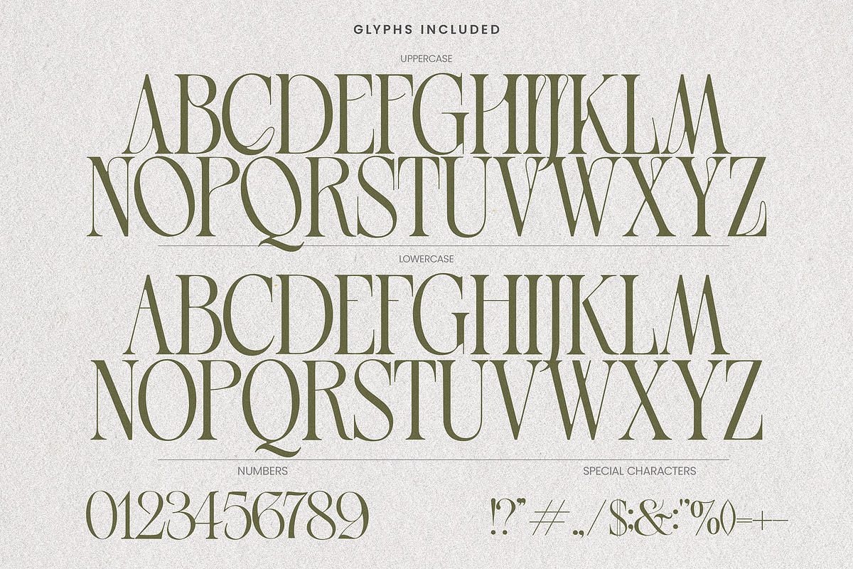 Grand Palais - Elegant Logo Font, a Serif Font by AndrewPixelType (Photo 8 of 9)