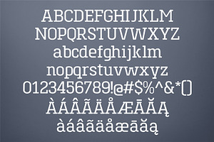 Toenas Bangsa Font Family