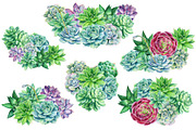 watercolor cacti and succulents, a Decorative Illustration by Hanna Hryharenka (Thumbnail 4 of 9)
