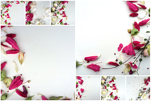 BUNDLES OF BLISS–Styled Stock Photos
