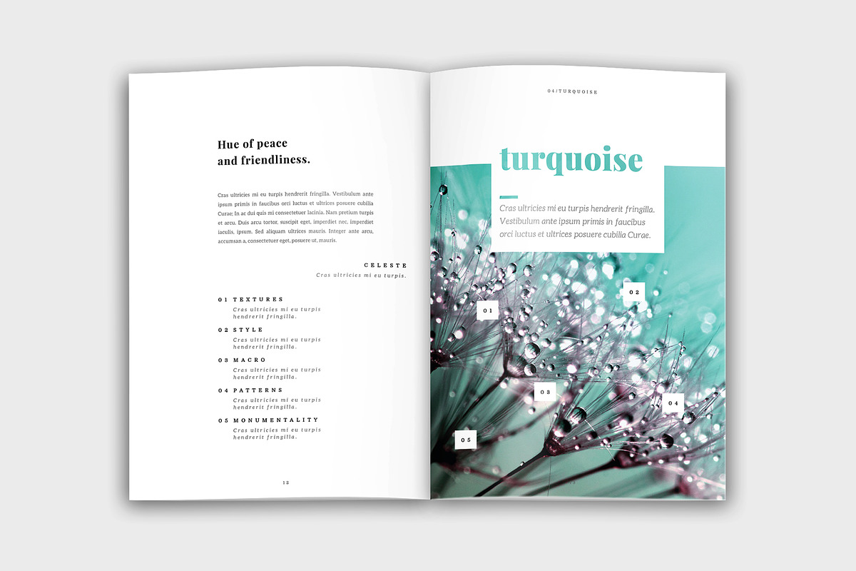 Colora - Bold, Clean Portfolio, a Brochure Template by velvetmade.designs (Photo 7 of 17)