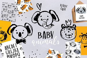 Baby animals