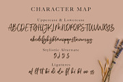Vivy Aquilla - Handwritten Font, a Script Font by StringLabs (Thumbnail 8 of 10)