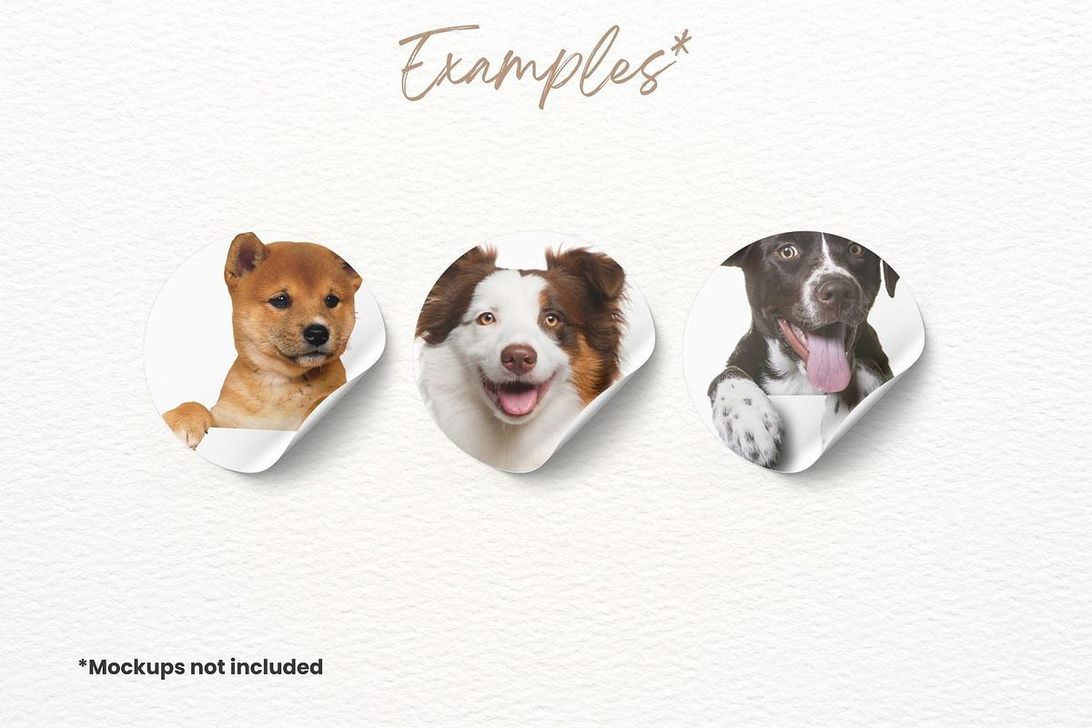 Ultimate 251 Dog PNG Pack, an Animal Photo by StudioByElevate (Photo 3 of 4)