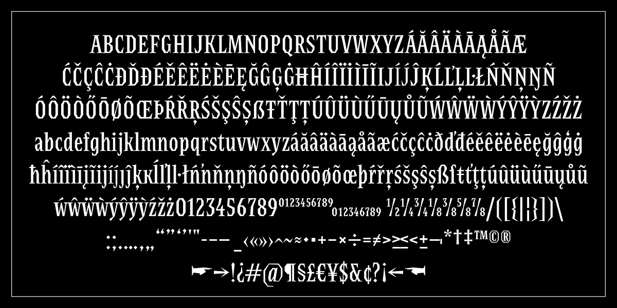 Ferpa, a Serif Font by Typeóca (Photo 10 of 10)