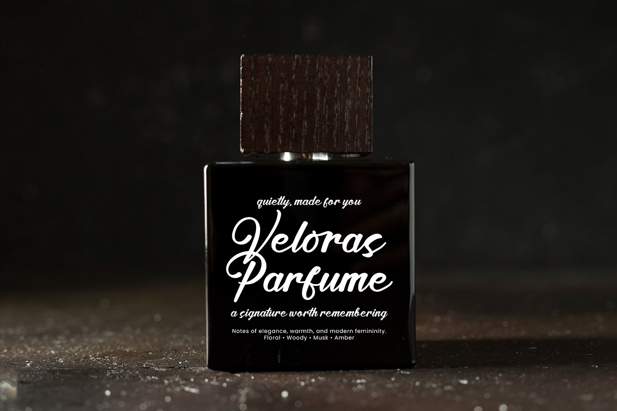 Satin Willots, a Script Font by operatype.co (Photo 6 of 8)