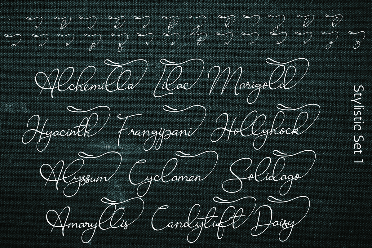 Ravishing Solidago Font, a Handwritten Font by Letterhanna Studio (Photo 16 of 21)