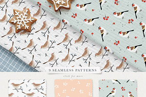 Winter Birds Christmas Set