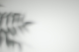 Foliage shade plant silhouette, a Background Photo by Photo Drive Studio