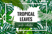 Tropical leaves. Vector Collection, an Illustration by JSolomatina (Thumbnail 1 of 5)