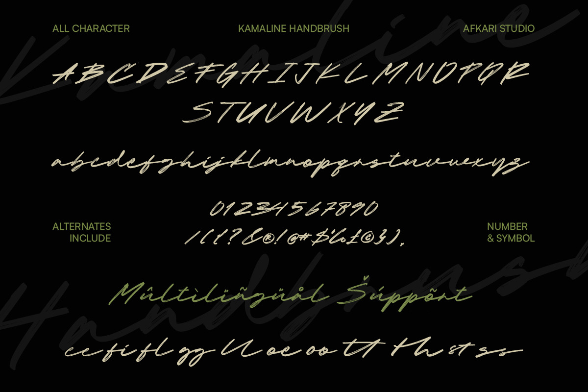 Kamaline Handbrush - Brush Script, a Script Font by Afkari Studio (Photo 10 of 10)